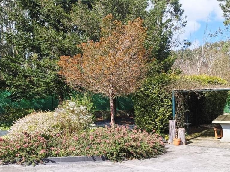 Country House for sale in San Sadurniño, La Coruña 3