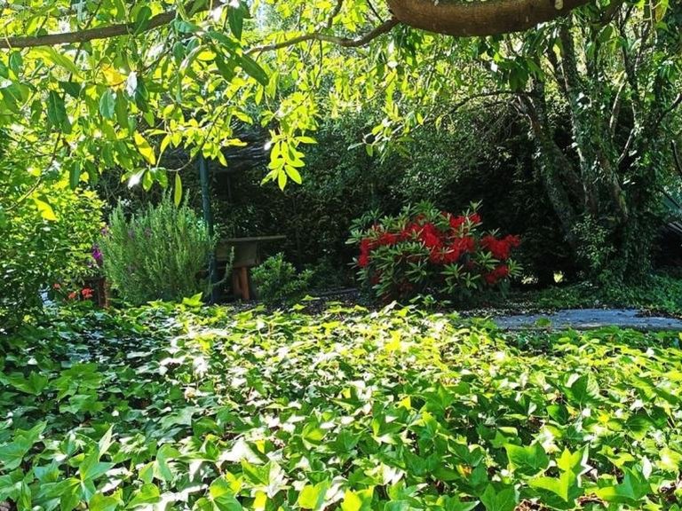 Country House for sale in San Sadurniño, La Coruña 4