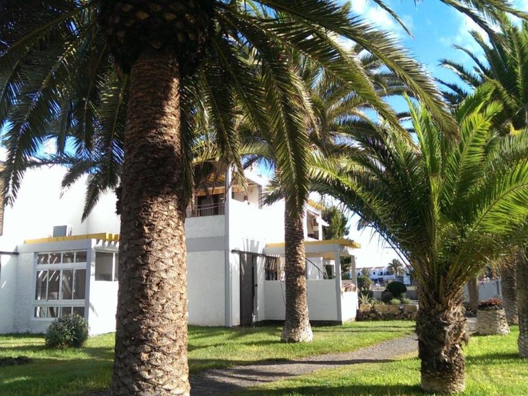 One bedroom Refurbished Apartment in Costa Del Silencio 10