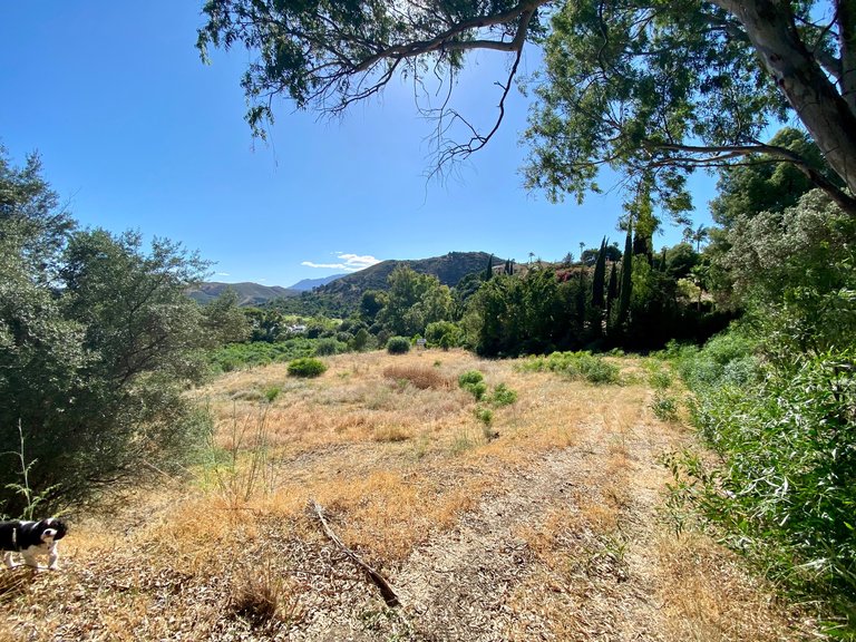 BEST PRICED LAND IN THE MARKET - 232 €/Sqm. - Puerto del Almendro - Benahavis 1