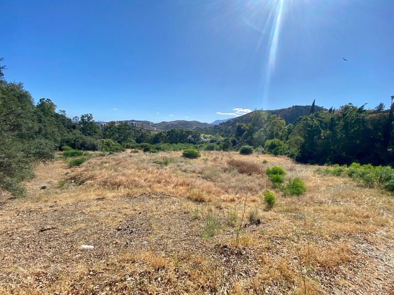 BEST PRICED LAND IN THE MARKET - 232 €/Sqm. - Puerto del Almendro - Benahavis 2