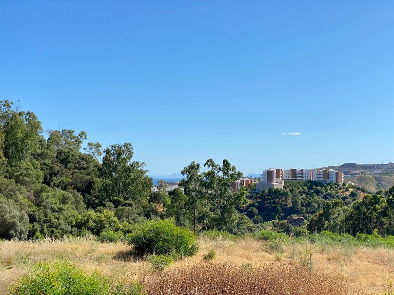 BEST PRICED LAND IN THE MARKET - 232 €/Sqm. - Puerto del Almendro - Benahavis 3