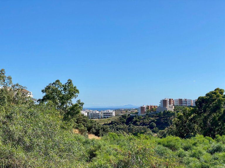BEST PRICED LAND IN THE MARKET - 232 €/Sqm. - Puerto del Almendro - Benahavis 4