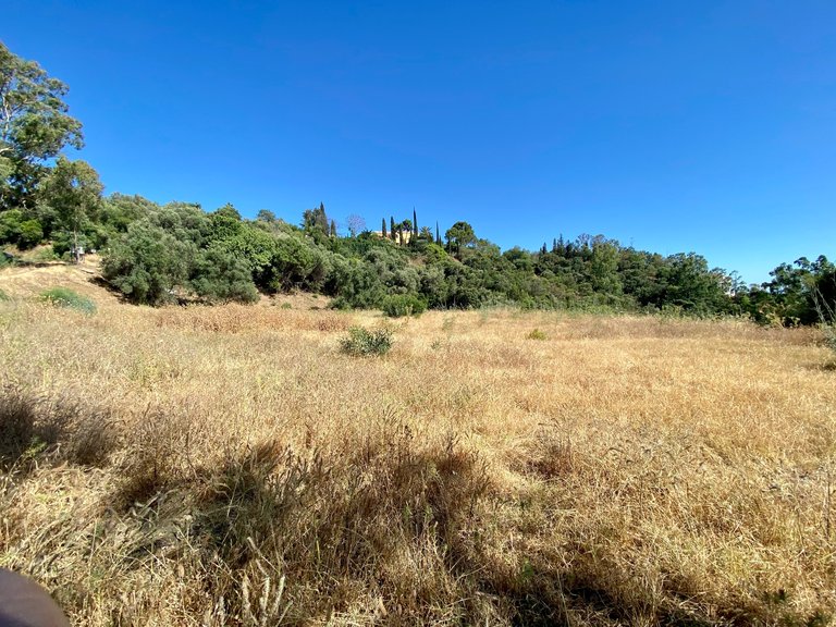 BEST PRICED LAND IN THE MARKET - 232 €/Sqm. - Puerto del Almendro - Benahavis 5