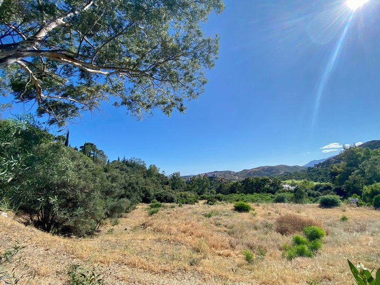 BEST PRICED LAND IN THE MARKET - 232 €/Sqm. - Puerto del Almendro - Benahavis 6