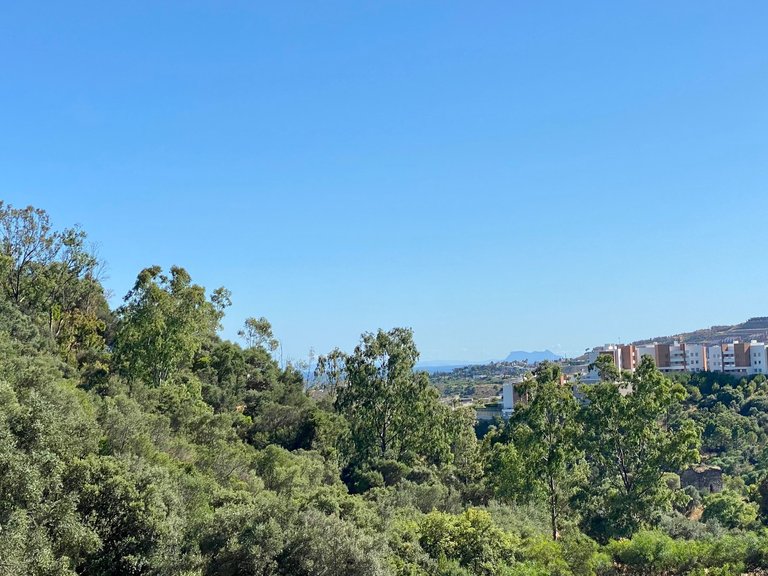 BEST PRICED LAND IN THE MARKET - 232 €/Sqm. - Puerto del Almendro - Benahavis 7