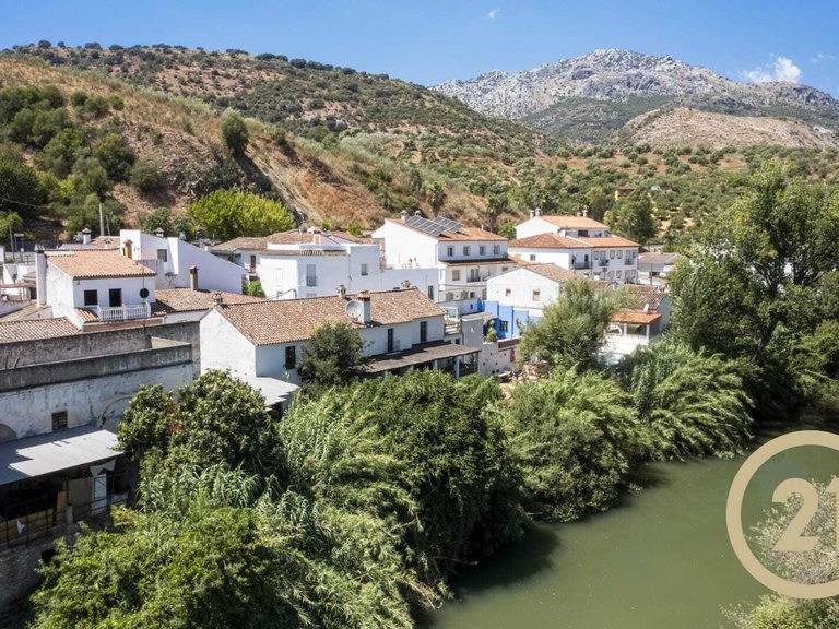Commercial for sale in Cortes de la Frontera, Málaga 24
