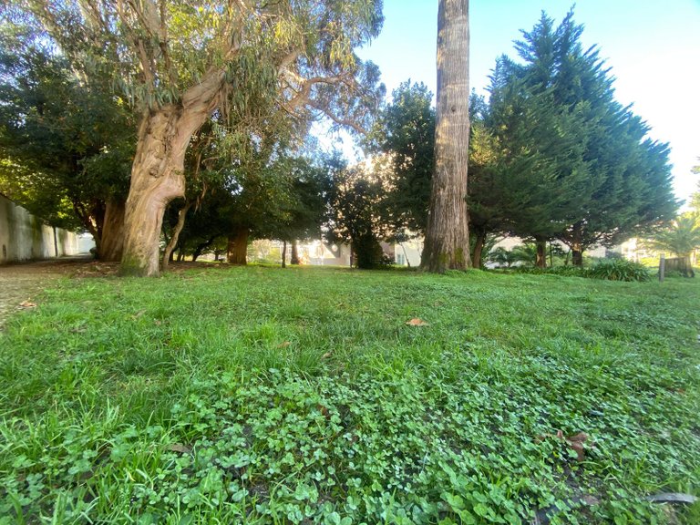 Apartamento t2 à venda na Rua Doutor João José Bugalho, 1 17