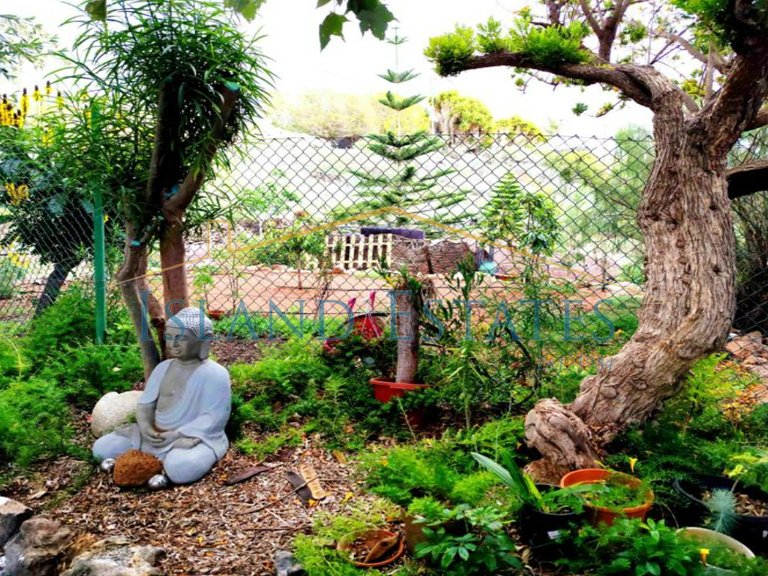 5 Bedroom Finca only 3 kilometres from the coast 14