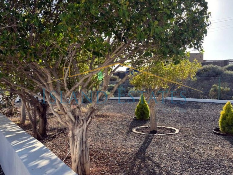 5 Bedroom Finca only 3 kilometres from the coast 15