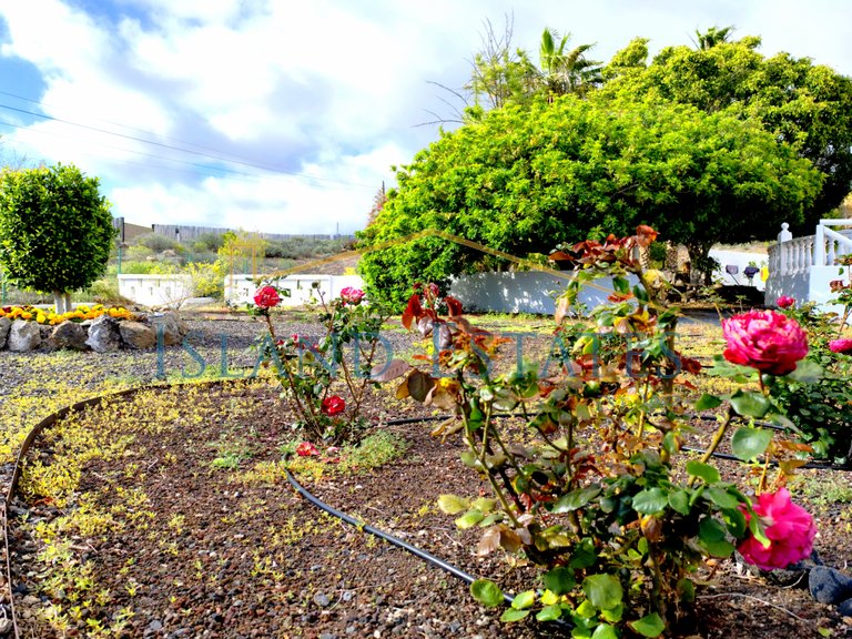 5 Bedroom Finca only 3 kilometres from the coast 16