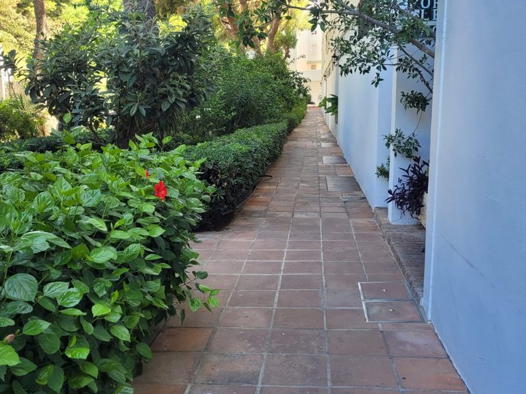 La Carihuela - Torremolinos - Malaga - 3 bed + 2 bath - 500 mts to the beach 4