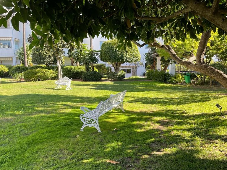 Encantador apartamento en planta baja en Av. Pernet, El Paraíso 6