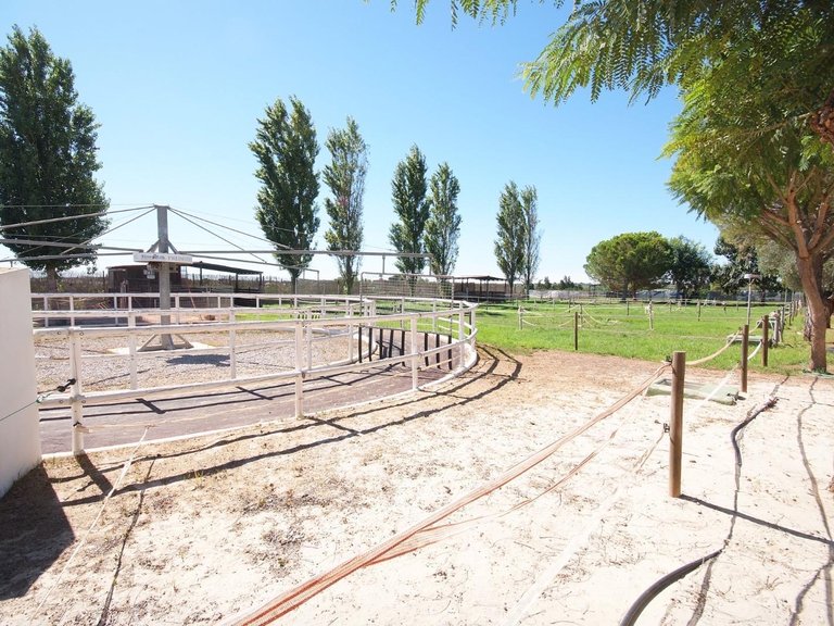 Finca Ecuestre 25