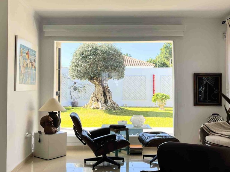 Chalet independiente en una de las zonas residenciales más exclusiva y tranquilas de Sanlúcar de Barrameda 1