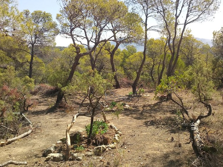 Magnífica Finca con Caseta de Piedra y Vistas a “Els Ports” 1