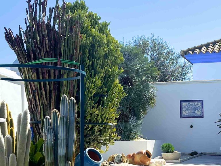 Chalet independiente en una de las zonas residenciales más exclusiva y tranquilas de Sanlúcar de Barrameda 16
