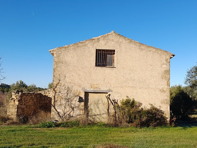Finca con Olivos Milenarios y Caseta de Campo en Arens de Lledó 4