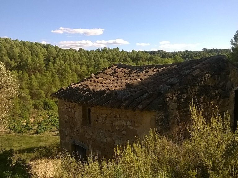 Magnífica Finca con Caseta de Piedra y Vistas a “Els Ports” 3