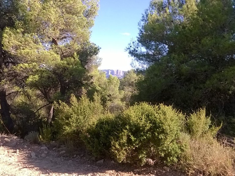 Magnífica Finca con Caseta de Piedra y Vistas a “Els Ports” 12