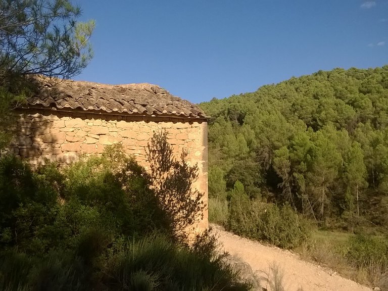 Magnífica Finca con Caseta de Piedra y Vistas a “Els Ports” 6