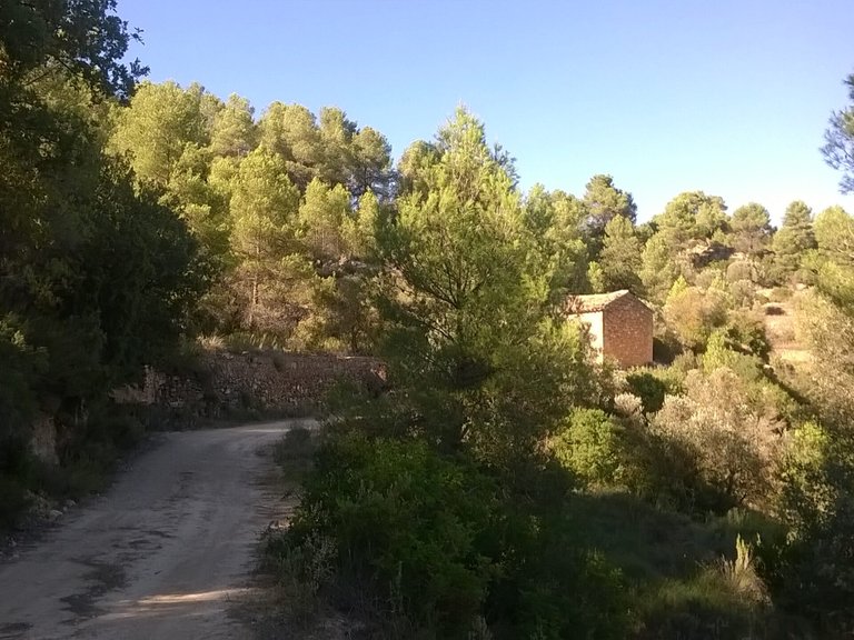 Magnífica Finca con Caseta de Piedra y Vistas a “Els Ports” 8
