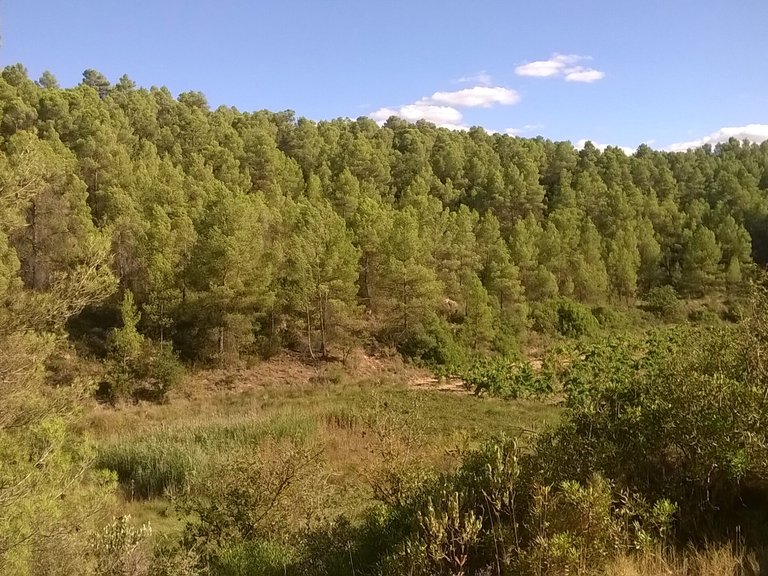 Magnífica Finca con Caseta de Piedra y Vistas a “Els Ports” 9