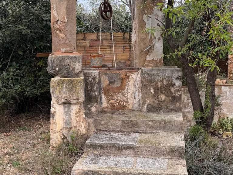 Oportunidad Única: Finca Integral con Alma y Tradición en Entorno Rural 16