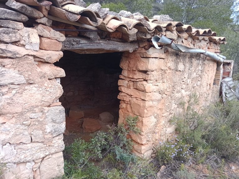 Encanto Rural en Bot con 2 Hectáreas de Almendros y una casita con cisterna 3