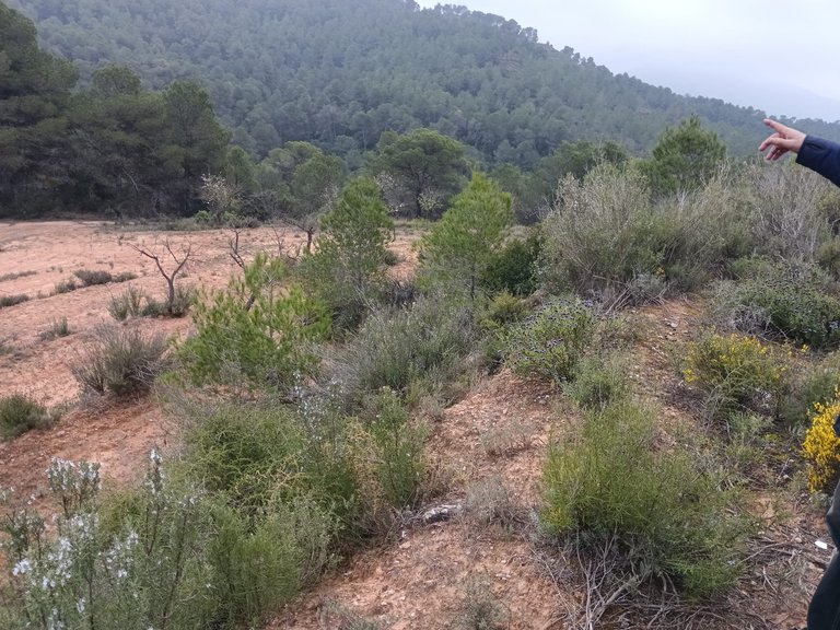 Encanto Rural en Bot con 2 Hectáreas de Almendros y una casita con cisterna 10