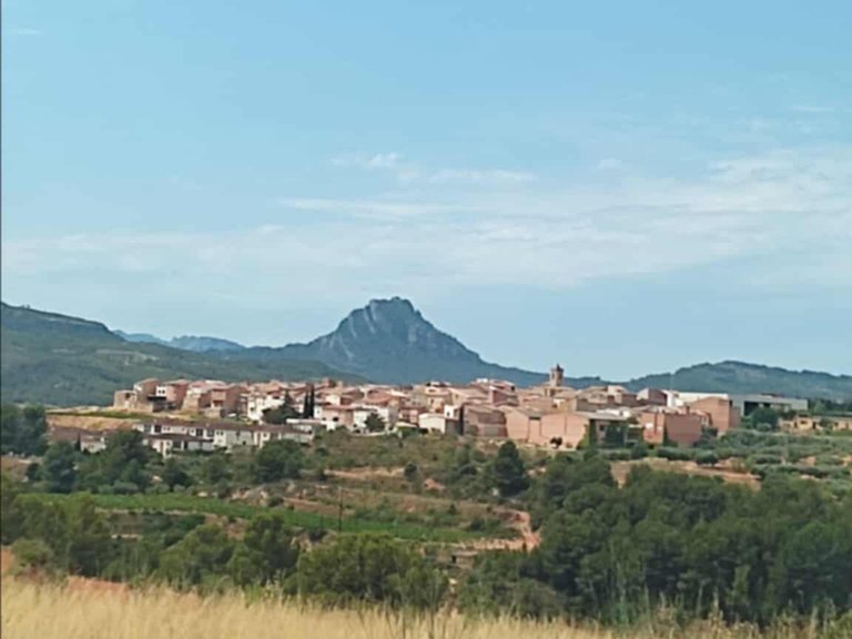 Encanto Rural en Bot con 2 Hectáreas de Almendros y una casita con cisterna 13