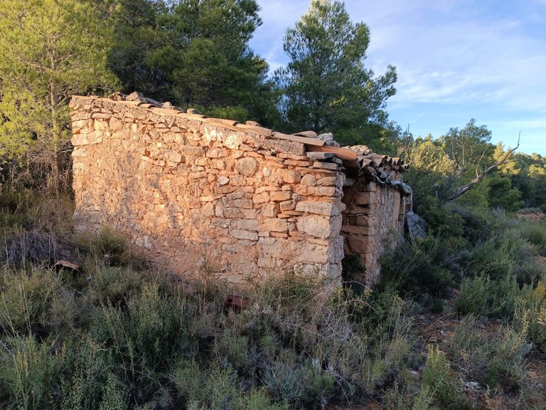 Encanto Rural en Bot con 2 Hectáreas de Almendros y una casita con cisterna 6