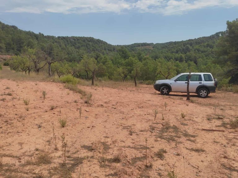 Encanto Rural en Bot con 2 Hectáreas de Almendros y una casita con cisterna 7