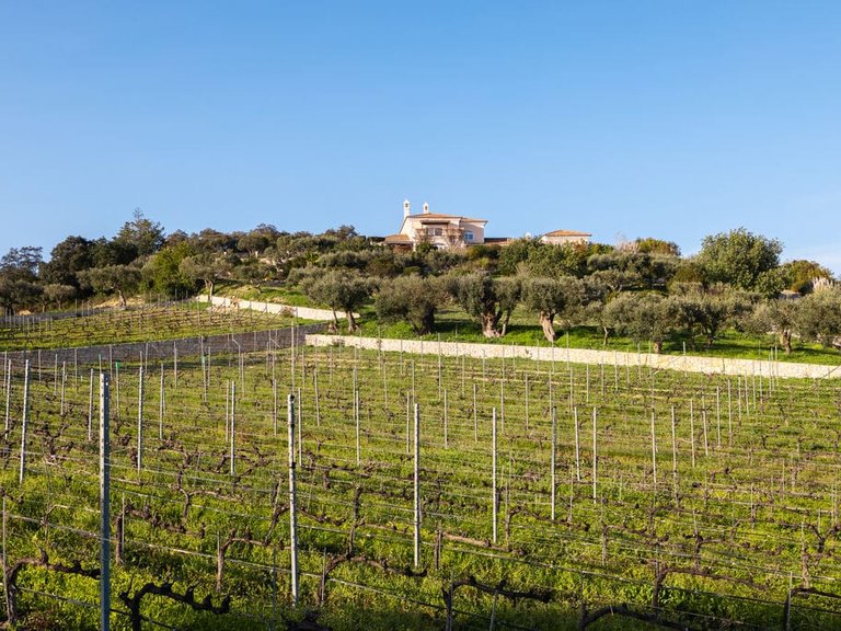 Villa for Sale in Santa Bárbara De Nexe, Algarve 5