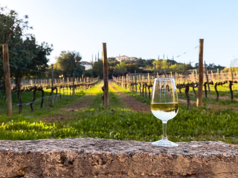 Villa for Sale in Santa Bárbara De Nexe, Algarve 6