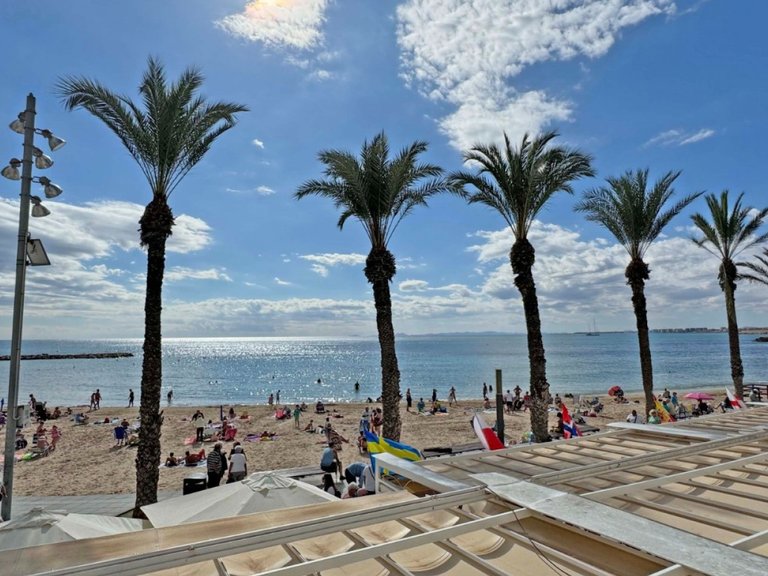 Apartment for Sale in Torrevieja, Alicante 29