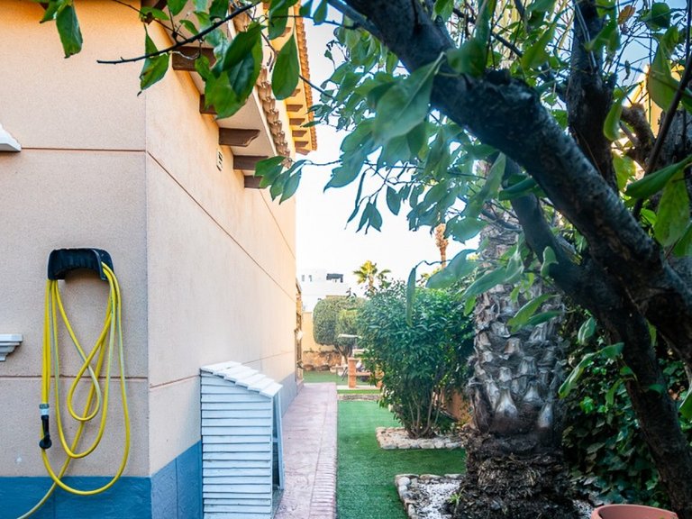 Villa for Sale in Benferri, Alicante 31