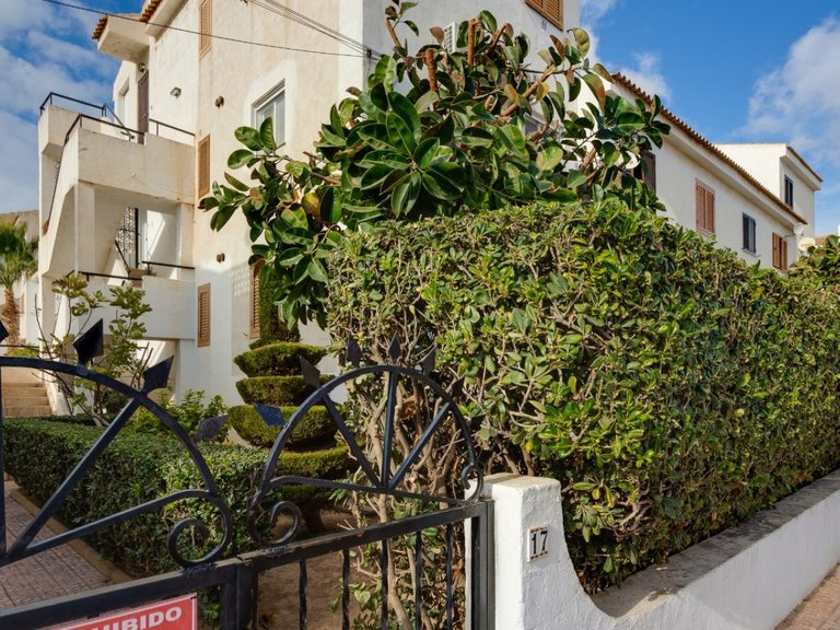 Apartment for Sale in Torrevieja, Alicante 1