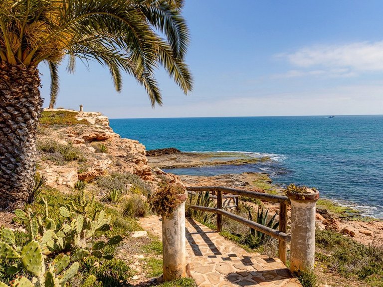 Apartment for Sale in Torrevieja, Alicante 46