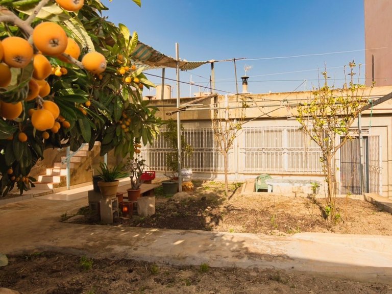 Villa for Sale in Benijófar, Alicante 23