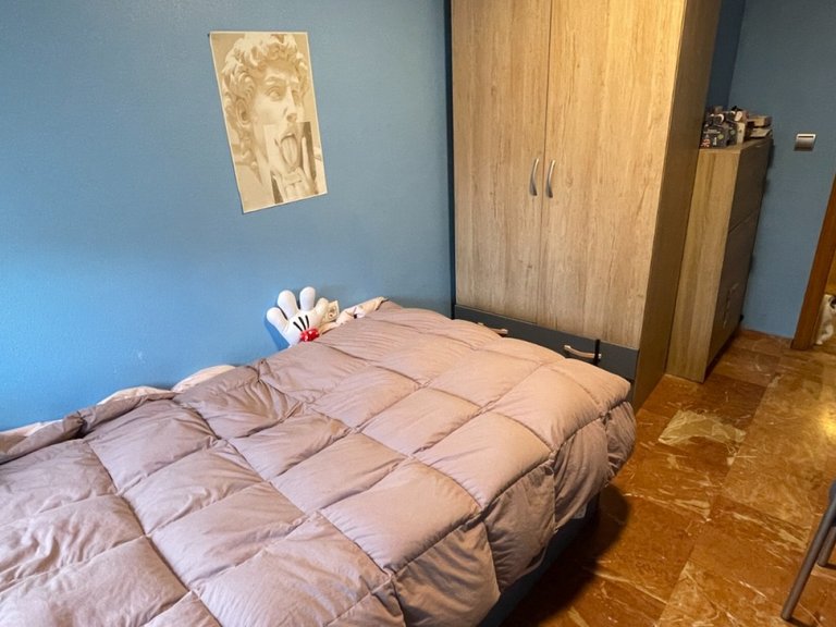 Apartment for Sale in Torrevieja, Alicante 19