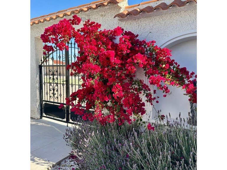 Villa for Sale in Torrevieja, Alicante 22