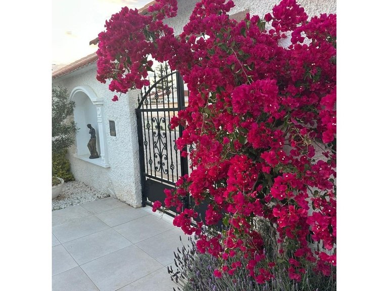 Villa for Sale in Torrevieja, Alicante 42