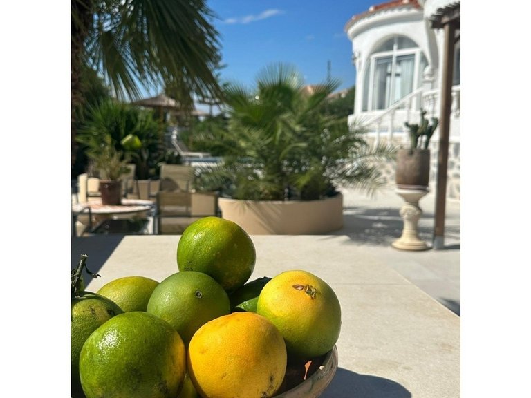 Villa for Sale in Torrevieja, Alicante 50