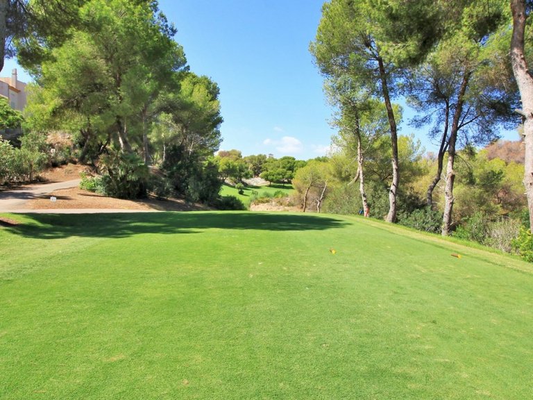 Villa for Sale in Orihuela Costa, Alicante 34