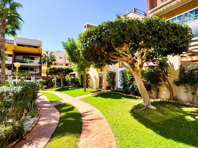 Apartment for Sale in Orihuela Costa, Alicante 22