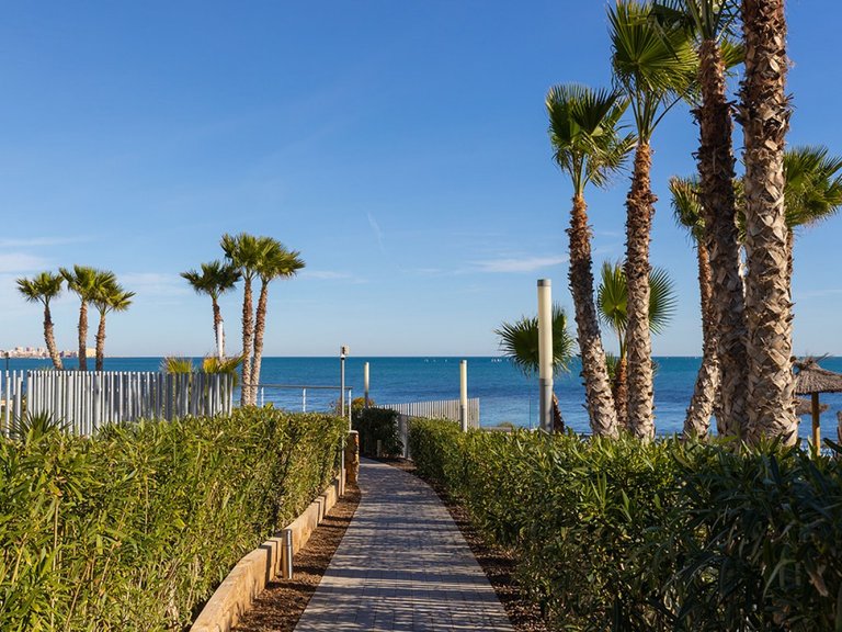 Apartment for Sale in Torrevieja, Alicante 49