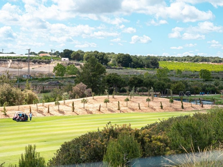 Apartment for Sale in Pilar De La Horadada, Alicante 10