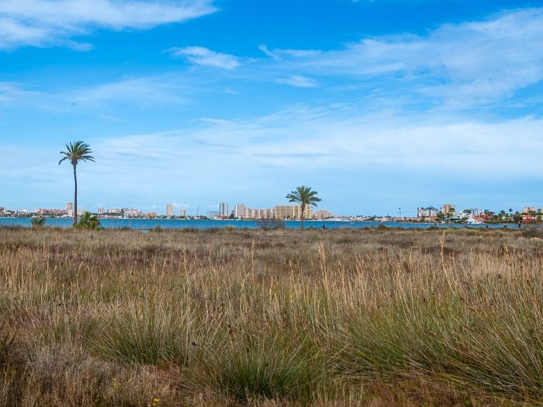 Apartment for Sale in Cartagena, Murcia 33