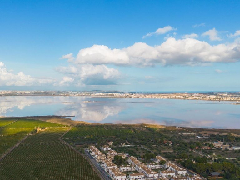 Villa for Sale in Torrevieja, Alicante 41